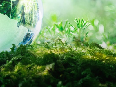 Environmental aspects: 6 ways how we protect the Earth